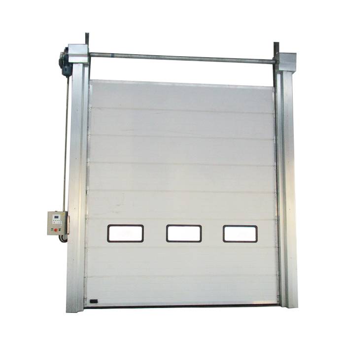 Industrial/Sectional door